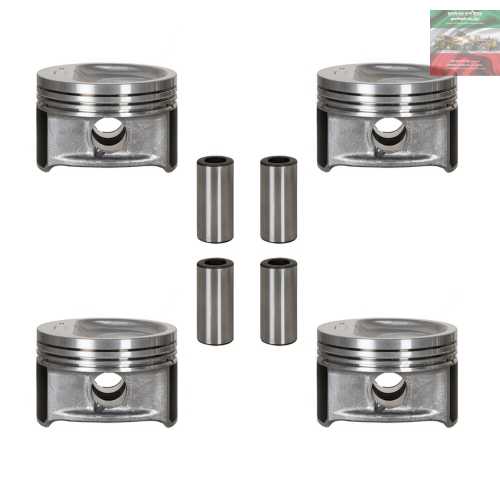 خرید پیستون و گژپین لودر